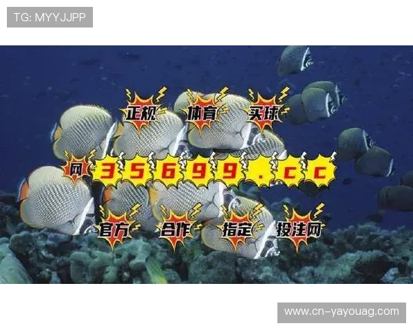 BG视讯网站常见问题解答，帮助新手玩家快速上手并解决使用中的疑难